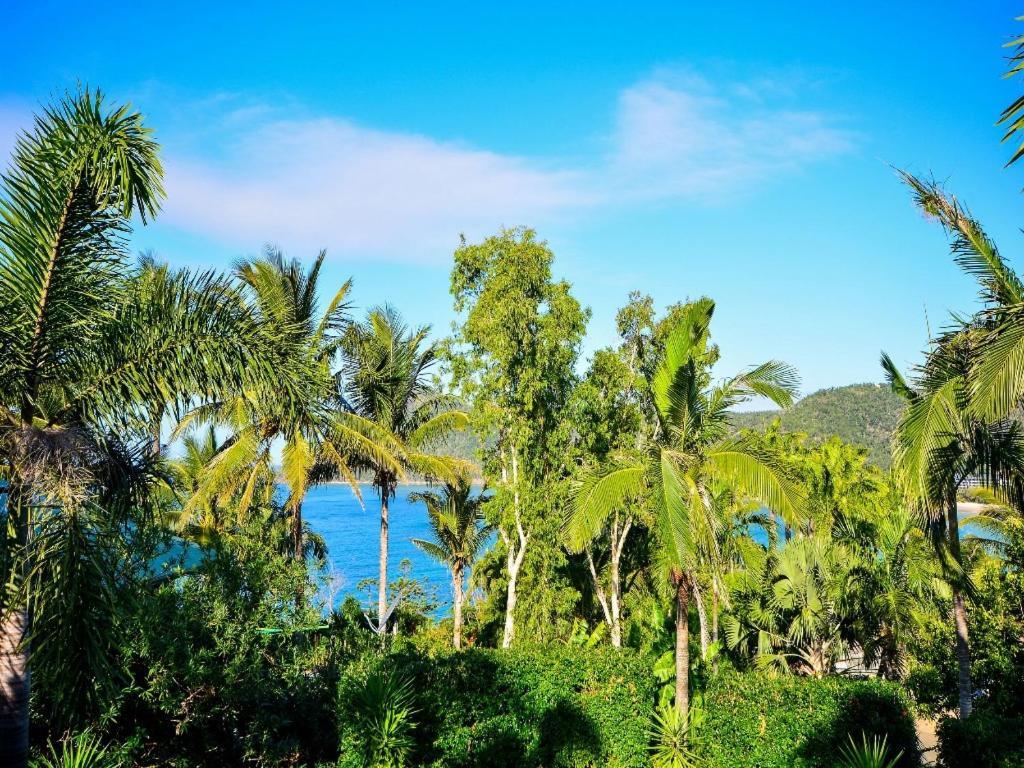 The Palms On Hamilton Island Villa Екстериор снимка