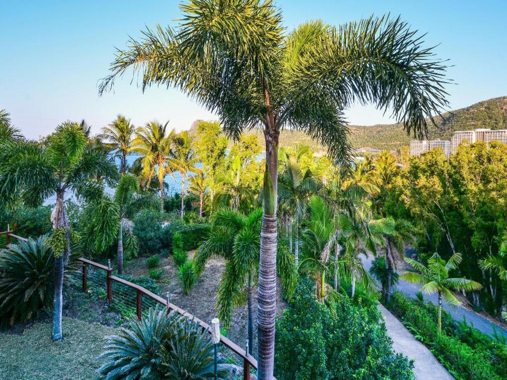 The Palms On Hamilton Island Villa Екстериор снимка